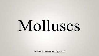 How To Say Molluscs [upl. by Far]