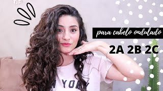 MELHORES SHAMPOOS PARA CABELO ONDULADO 2A 2B 2C [upl. by Ahs]