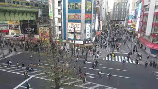 オノデンch【秋葉原ライブカメラ Akihabara live camera】 [upl. by Adnamma387]