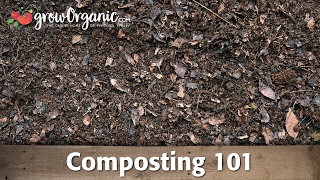 Composting 101  Making Compost in Composting Bins and Compost Piles [upl. by Mcevoy]