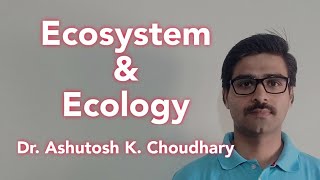 Introduction to ecosystem  Class 12 Biology [upl. by Werdn]