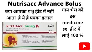 Nutrisacc Advance ये product करेंगे पशु की बच्चेदानी का सही विकास और हीट निकालने में सहायता। [upl. by Iroak]