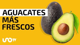 ¿Cómo conservar el aguacate más fresco [upl. by Harim]