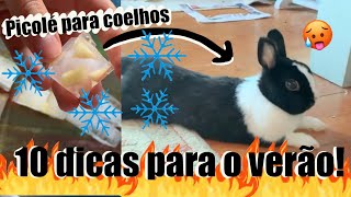 COMO REFRESCAR O COELHO EM DIAS QUENTES DE VERAÌƒO  10 DICAS FÃCEIS E EFICIENTES ðŸ°ðŸ¥µ [upl. by Yllim938]