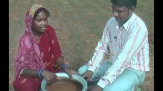 Seed treatment in ginger cultivation Mundari PRADAN Jharkhanda [upl. by Ciapha]