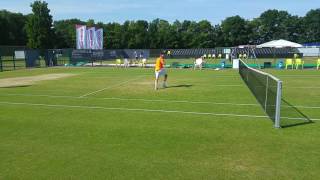 Ricoh open ATP Tennis Rosmalen 2016 Ferrer training volley [upl. by Ardene]