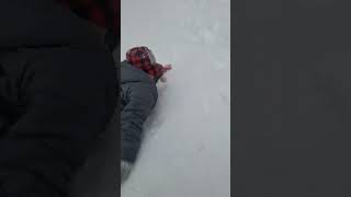 😨 Painful SLEDDING in ALASKA [upl. by Engle]