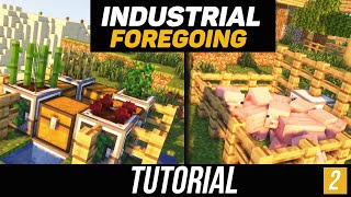 Industrial Foregoing tutorial  guide 1165  Farms minecraft java edition [upl. by Bertold907]