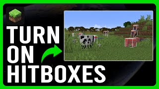 How To Turn On Hitboxes In Minecraft How To ShowEnable Hitboxes In Your Minecraft [upl. by Yeniffit]