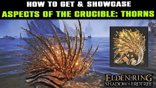 ASPECTS OF THE CRUCIBLE THORNS How to Get Location amp SHOWCASE  Elden Ring Shadow of the Erdtree [upl. by Waterer]