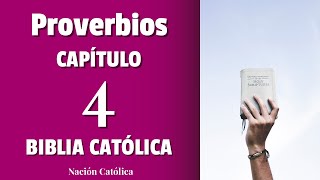 La Biblia Católica en audio 04 Evangelio según San Mateo Capítulo 11 y 12 [upl. by Berny]