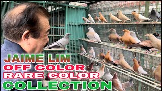 EP275  P3 MGA IMPORTED LINE NA RARE AT OFF COLOR COLLECTION NI JAIME LIM [upl. by Abbey]