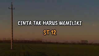 ST12  Cinta Tak Harus Memiliki  VIDEO LIRIK [upl. by Hickey369]