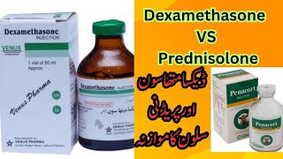 Dexamethasone Vs Prednisolone in Veterinary  Difference between Dexamethasone and Prednisolone [upl. by Geithner]