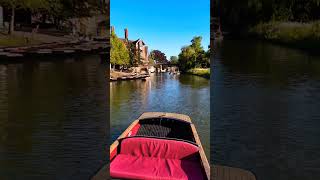 Punting Tour part 2 explore tour shortvideo like share and subscribe [upl. by Ehtnax]