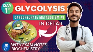 glycolysis biochemistry  carbohydrate metabolism biochemistry  glycolysis pathway biochemistry [upl. by Boak]