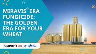 Miravis® Era fungicide The golden era for your wheat [upl. by Yrailih654]