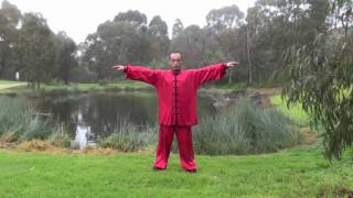 ziran qigong level 2 Taoist Nature Qigong [upl. by Reni]