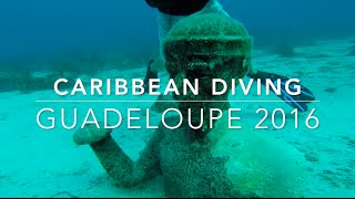 Caribbean Diving  Guadeloupe 2016 [upl. by Narbig]