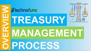 Introduction to Treasury Management Process [upl. by Cann479]