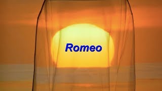 YELLE  Romeo Lyric Video [upl. by Francisco]