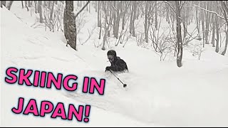 Skiing in JAPAN is AWESOME Hakuba Valley Resorts [upl. by Enidaj]