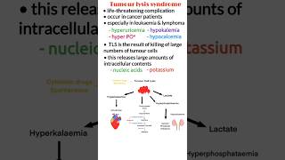 Tumor lysis syndrome TLS pathophysiology diagnosis treatment oncological emergency shorts [upl. by Haleehs]