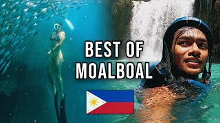 The Best of Cebu  Moalboal Vlog 🇵🇭 [upl. by Aneema]