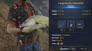 CotW The AnglerIzilo Zasendulo2024Largemouth YellowfishDiamond [upl. by Maxfield]