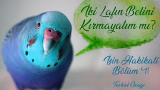 İki Lafın Belini Kırmayalım mı [upl. by Garett779]