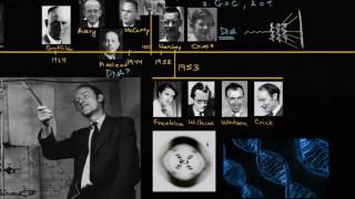 DNAnın Çift Sarmal Yapısının Keşfi Biyoloji  Genetik Materyal Olarak DNA [upl. by Nylave]