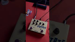 Levitate delay ou elemental delay  Qual dos 2 vc curte mais  🤔 [upl. by Odelia]