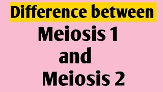 Meiosis  Difference Between Meiosis 1 and Meiosis 2  Cell Cycle [upl. by O'Malley]