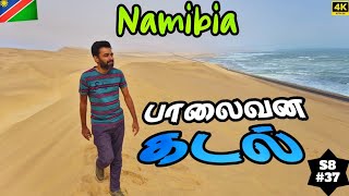 🏝️ நமிபியாவின் இயற்கை அதிசயம்  🇳🇦 NAMIBIA EP 6 [upl. by Oilegor]