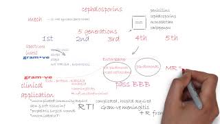 Antibiotics  Cephalosporins شرح [upl. by Melamie]