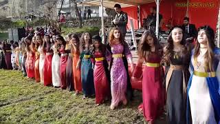 Kurdish Dance  Baile kurdo [upl. by Siegel]