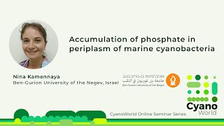 Nina Kamennaya  Accumulation of phosphate in periplasm of marine cyanobacteria [upl. by El]