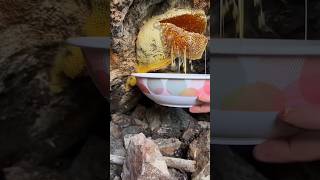 Ultimate Honeycomb ASMR Harvest 🐝🍯Harvesting honey from beehive EP13 satisfying short [upl. by Asher]