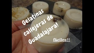 GELATINAS SABOR CALLEJERAS DE GUADALAJARA JALISCO  Lorena Lara [upl. by Lon3]