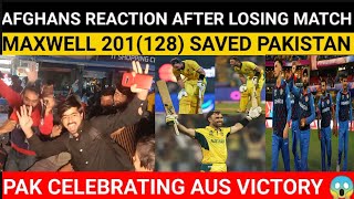 GLENN MAXWELL 201128 vs AFG🔥 PAK CELEBRATION AFTER AUS WINNING  CWC23 [upl. by Ashlie]