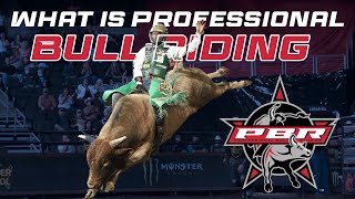 The HighStakes HighRisk World of Professional Bull Riding [upl. by Averill]