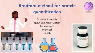 Bradford method for protein quantification  Protocol [upl. by Eiramanin]