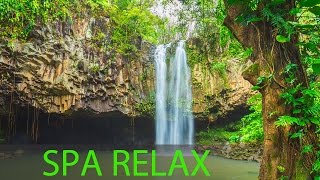 Relaxing Spa Music Meditation Healing Stress Relief Sleep Music Yoga Sleep Zen Spa ☯277 [upl. by Semmes797]