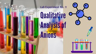 Exp 11 Qualitative Analysis of Anions [upl. by Ynaffyt]