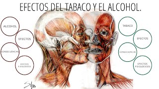 Consecuencias del tabaquismo y el alcoholismo crónico [upl. by Brebner]