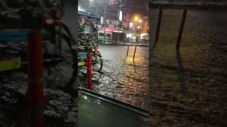 garia moar habi rain 🌧️🌧️🌧️ pliss subscribe my channel [upl. by Ahterahs371]