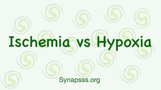 Hypoxia vs Ischemia differences definitions [upl. by Vargas]