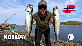 Sea Fishing In Norway The Shore Hunter Wayne Hand 4K Drone [upl. by Chen]