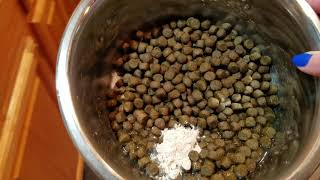 How to feed your dog that has EPI Exocrine Pancreatic Insufficiency [upl. by Cote466]