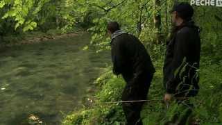 Pêche de la truites aux leurres dans lAin sur lAlbarine [upl. by Tabby]